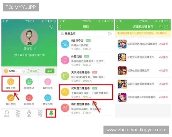 datatft云顶官网入口登录流程详细步骤指南，助你轻松上手