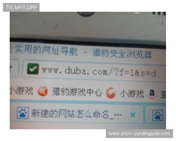 云顶国际平台网址大全：详细介绍各大平台官方网址及安全登录方式
