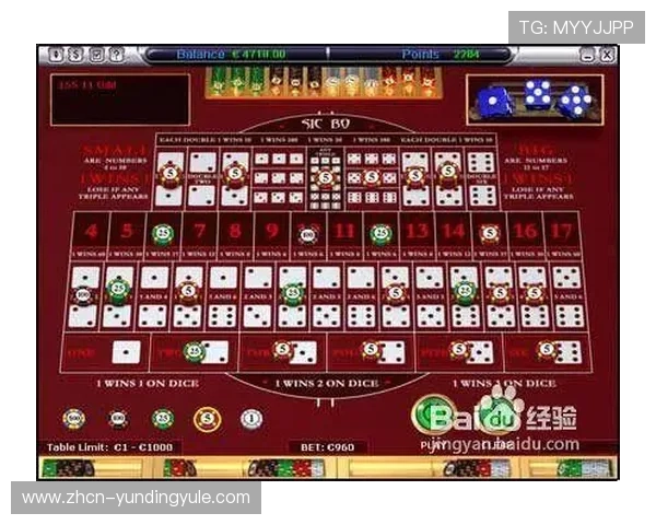 掌握骰宝规则的详细流程与实用策略，轻松提升你的赢钱几率