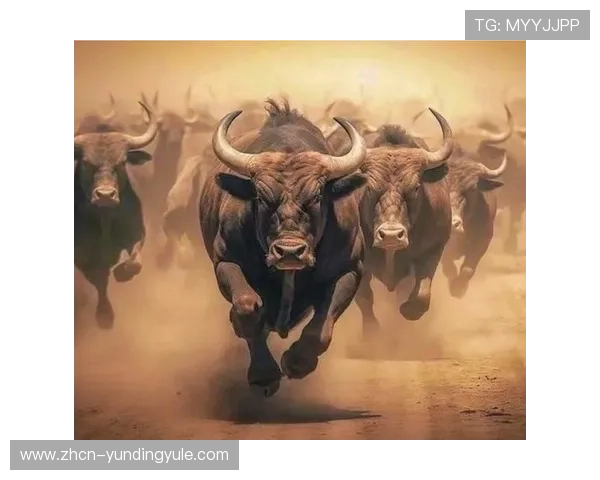 最新牛牛图片合集分享，丰富多彩的牛牛游戏图片让你眼前一亮